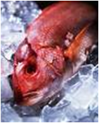 Freezer chart 3 Freezer chart 3